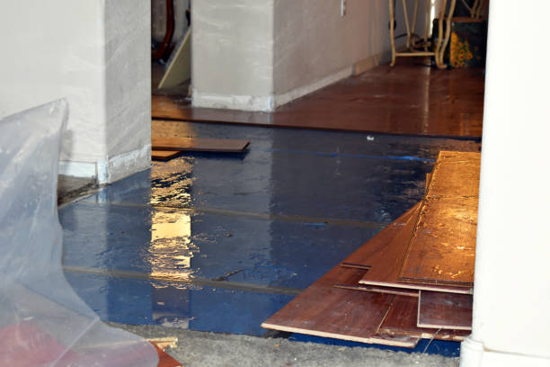 Professional Basement Water Removal technician working in Toledo, OR