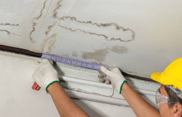 Reliable Basement Water Removal contractor in Toledo, OR by Water Damage Irwin